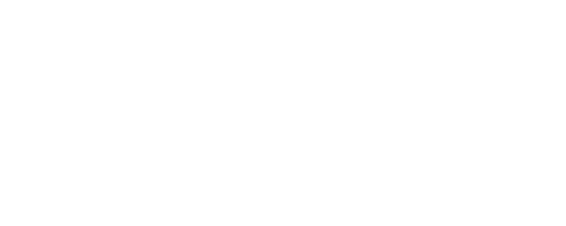 Original ZIYANS wordmark